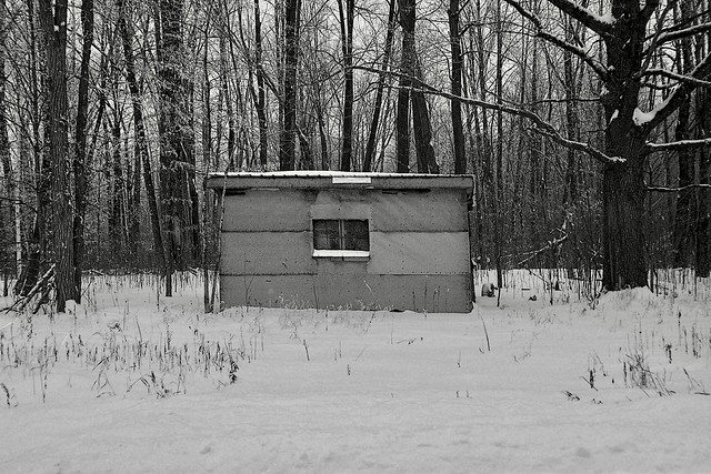 Little House in the Big Woods