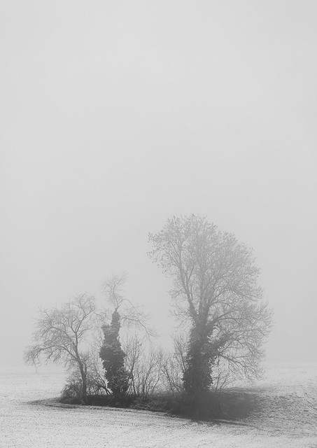 In the mist and the snow