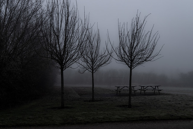 Mist in the morning, before the daylight breaks thrue