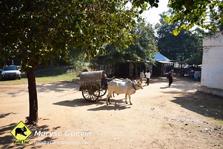 Mingun et Sagaing