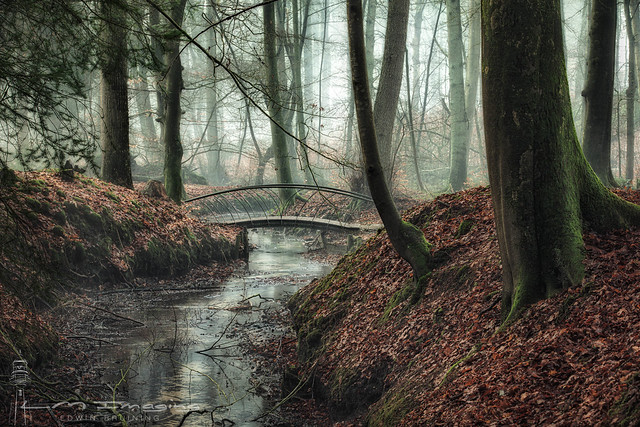 Mystical Woodland Bridge