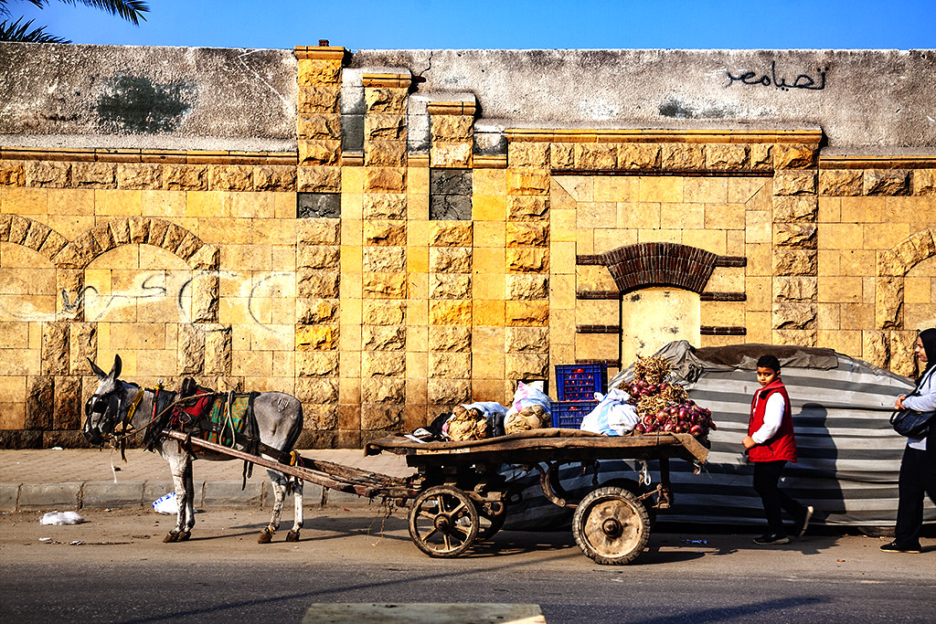 Donkey wagon in Old Cairo on 1-3-21--Cairo