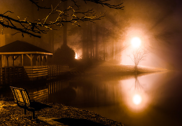 Peaceful foggy night - 2021-01-02_01