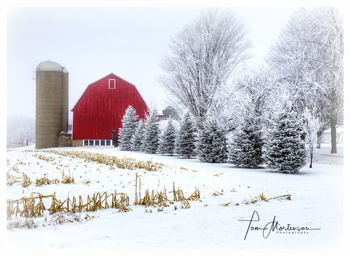 winter wisconsin wausauwisconsin farm redbarn barn frost snow winterlandscape centralwisconsin midwest dairyfarm usa america northamerica digital geotagged canon canon6d canoneos foggy fog picturesque scenic rural country beautyofwinter hoarfrost rimeice whitefrost scenery landscape winterweather 24105l flickrunitedaward
