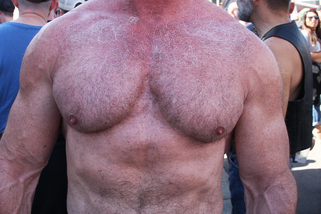 101 HOT MAN CHESTS / PECS ! ! # 100 ! ( safe photo )