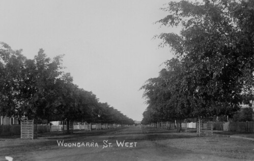 bundaberg landscape buildings woongarrastreet town street tree lined heritage walk state library queensland collection