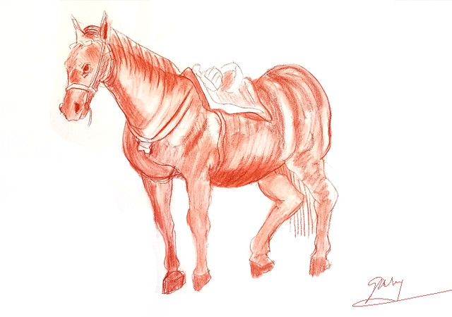 Master study of horse by Rubens