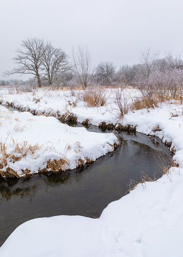 winter snow trees stream wisconsin canoneos5dmarkiv canonef2470mmf28lusm nature landscape overcast vertical