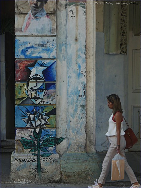 Mural of Jose Marti. Muecivas Raices? (Noticable or Significant Roots.)