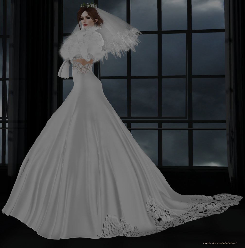 Zola Designs Wedding Dress