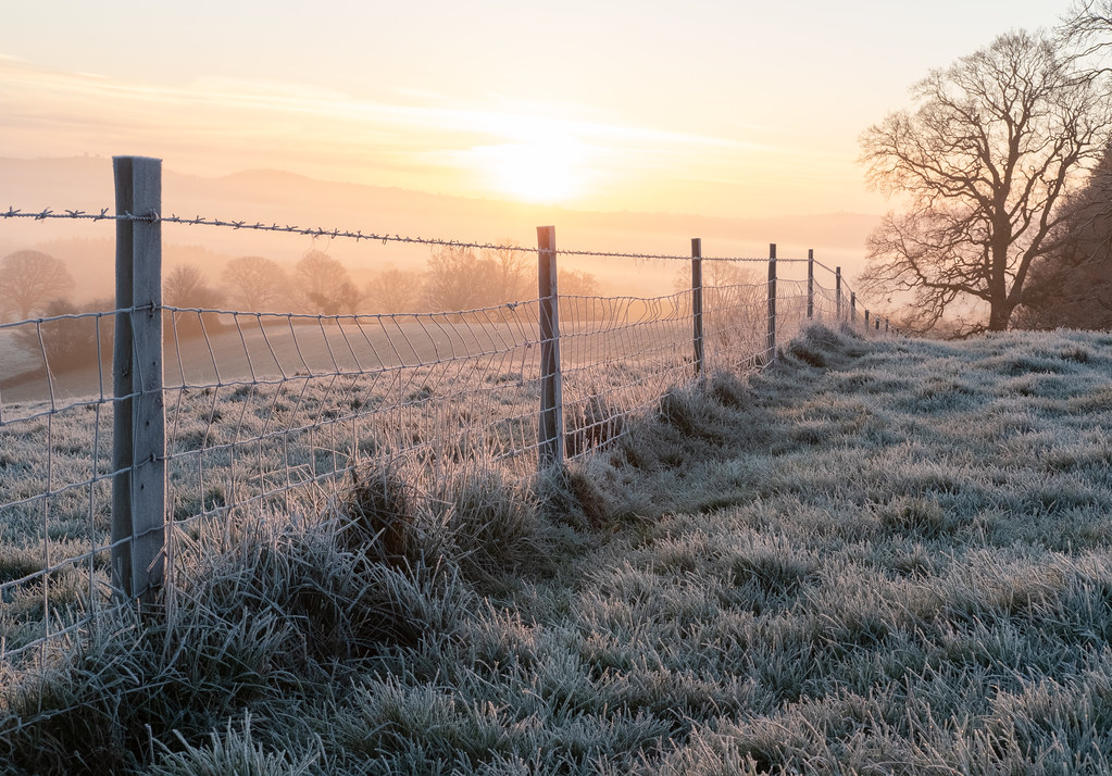 A photo of a frosty field with a wire fence disappearing into the distance towards the rising sun