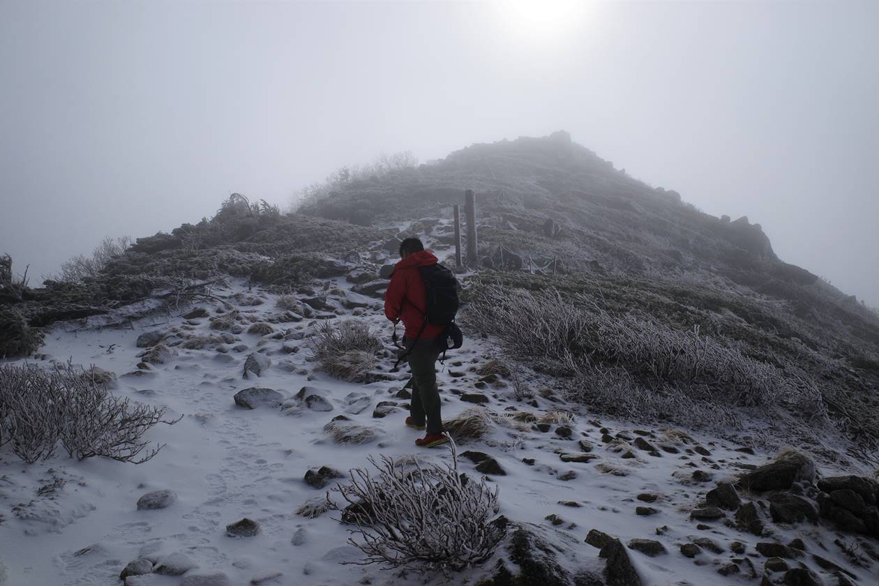 将棊頭山　霧と雪の稜線登山
