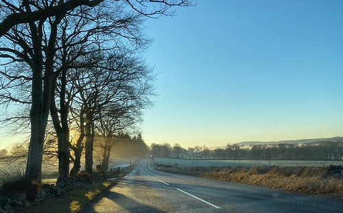 elisafox22 apple iphone11 landscape sky dawn road driveby trees sunshine shadows mist frost ice inverurie aberdeenshire scotland elisaliddell©2021 daviot tistheseason