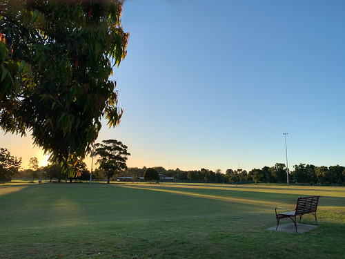 longshadows sunset trees grass fields caulfieldpark melbourne seat park australia summer