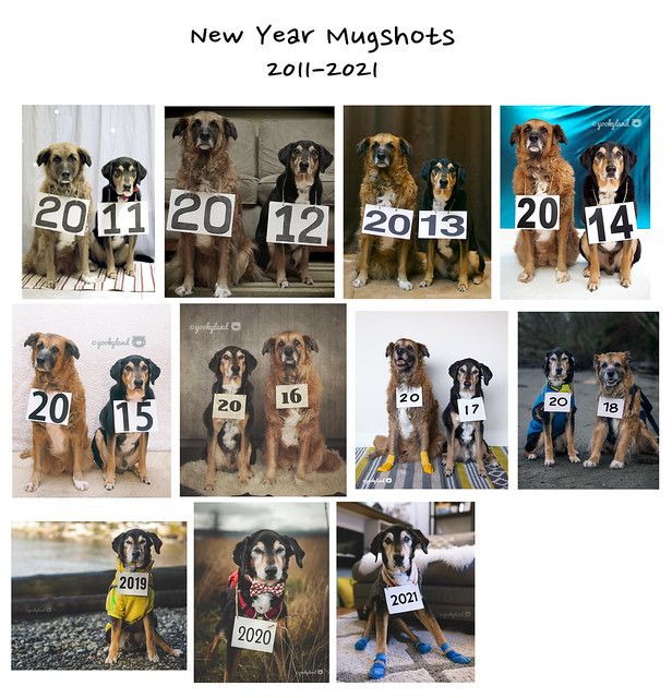 New Year Mugshots 2011 - 2021