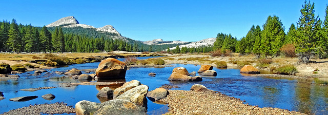 Away from the Madness, Yosemite 2019