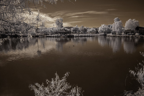 infrared convertedinfraredcamera ir surreal reflections clouds trees landscaping water lindolake lakeside