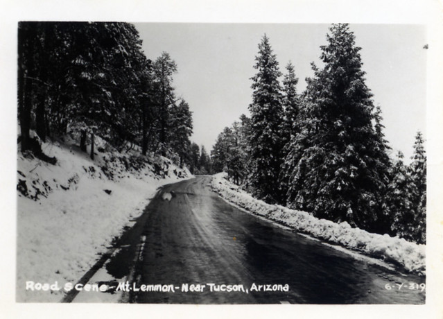 Road Scene Mt Lemmon near Tucson AZ