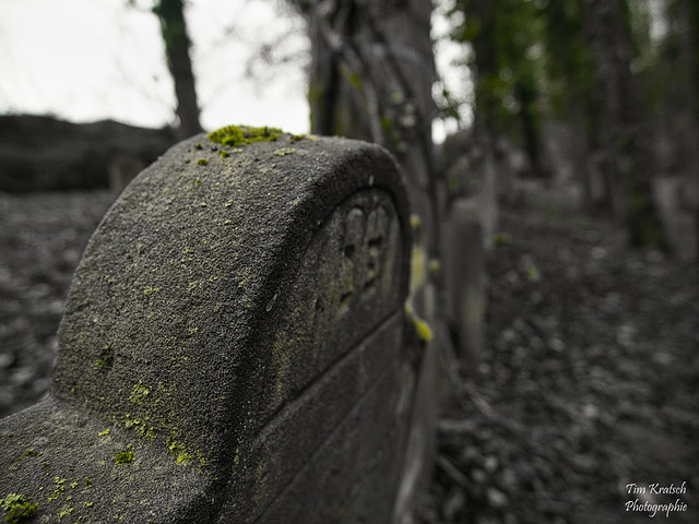Der verlassene Friedhof