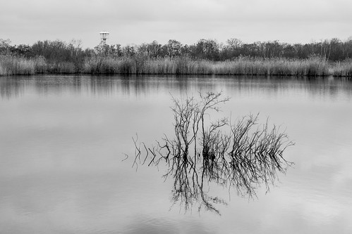 schachtblok headframe fördergerüst chevalement waterschei vijver pond landscape blackéwhitephotos bw monochrome limburg mijnbouw