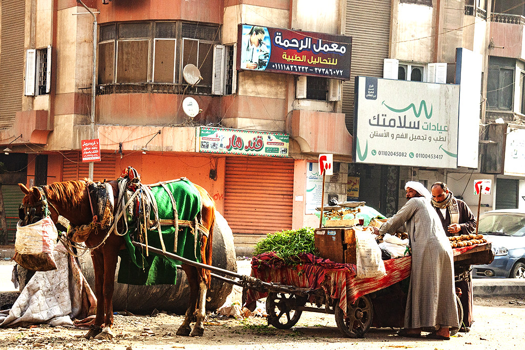 Man selling potatoes from horse wagon on 1-7-21--Giza