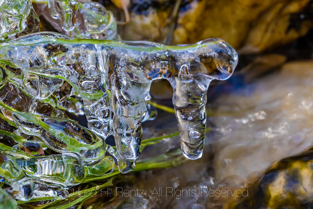 Icicles Forming in Great Basin National Park