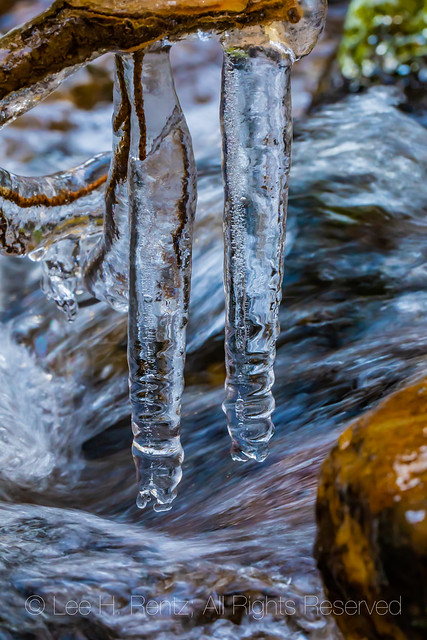 Icicles Forming in Great Basin National Park