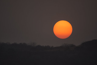 Setting Sun over Ranthambore, India