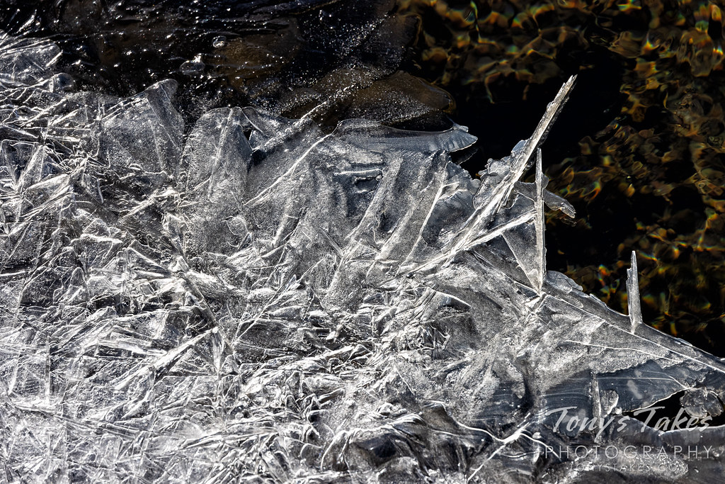 Winter ice coats a Colorado creek