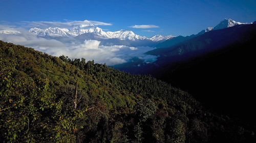 forest landscape mountain snow myagdi nepal kaski ghorepani himalaya