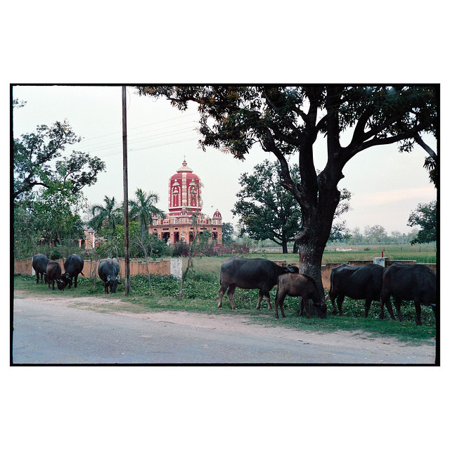 Temple Near Kushinagar 1988