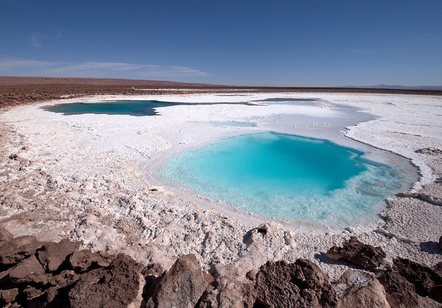 Baltinache hidden lagoons of Atacama desert, Chile