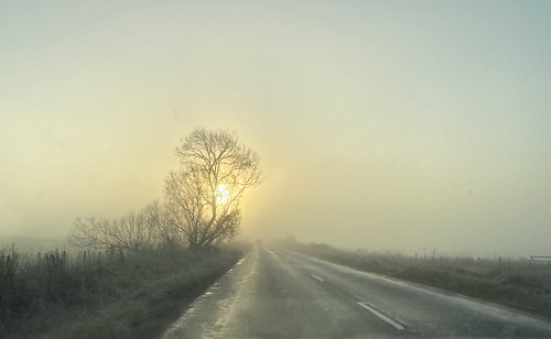 elisafox22 apple iphone11 landscape sky dawn road driveby trees sun mist frost ice hsos smileonsaturday driving onepointperspective inverurie aberdeenshire scotland elisaliddell©2021