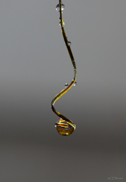 Tröpfchen  / droplet (2)