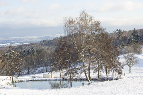 winter landschaft berge schnee teich bäume fernsehturm televisiontower trees pond snow mountains landscape
