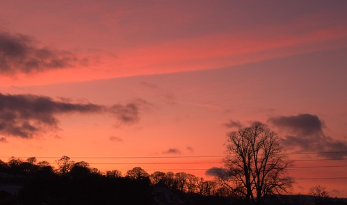 sunset betwsynrhos conwy northwales graetbritain uk unitedkingdom flickrnature january2021 canon canoneos1200d trees silhouettes electriccables electricwires clouds magentasky redglowsky redsky