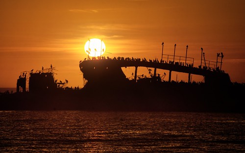 seacliffstatebeach seacliffpier aptos california sanfranciscobayarea sspaloalto shipwreck wreck abandoned bird silhouette birdsilhouette seascape pacificocean westcoast water sea ocean clear outdoor sunset sun dusk goldenhour day sky sony sonya6000 a6000 sel55210 1xp raw photomatix hdr qualityhdr qualityhdrphotography fav200 usa