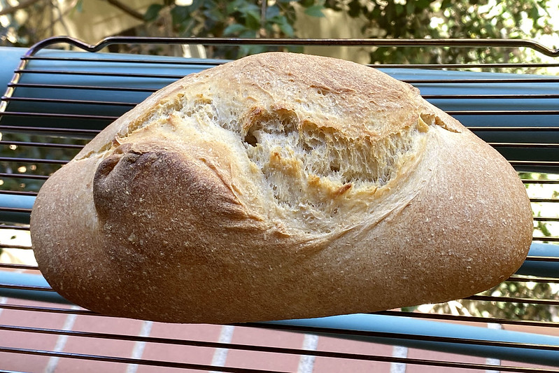 Sourdough bread!