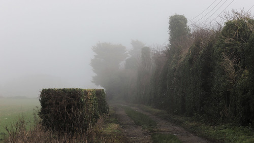 A walk in the fog