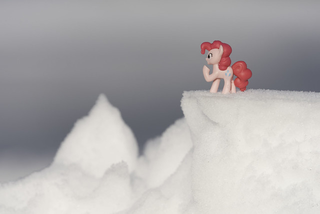 My Pretty Pony on a snow expedition