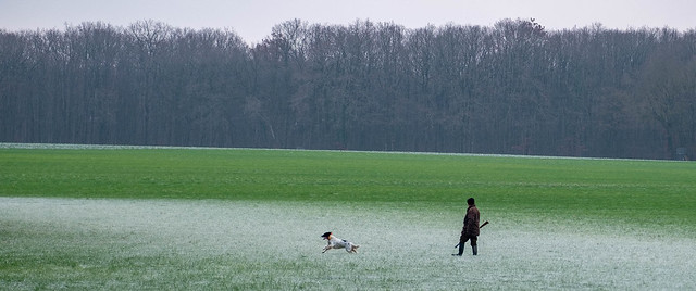 La gelée, le chasseur et son chien