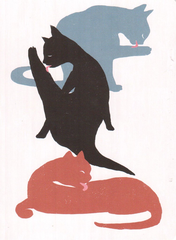 3 Cats by Bruno Gibert