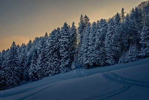 winter trees bäume snow schnee ice eis morgen morning sonnenaufgang sunrise berg mountain wild forest gloomy romantisch romantic farbig colorful dramatic dramatisch sony a7m3 a7iii switzerland appenzell ngc nature outdoor cold freezing