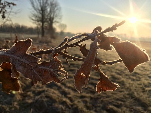 Sunrise by mariana.filipova,