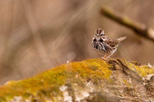 Blue Ridge Center for Environmental Stewardship in Loudoun County, Va. | by chesbayprogram