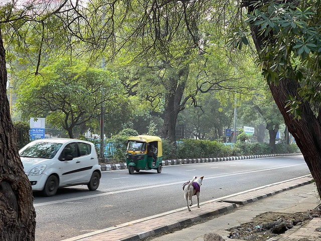 Mission Delhi - Laali, Lodhi Road