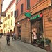 Bologna Snapshot