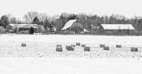 barns farm snow winter agriculture balesofhay countrylife countrysetting field harvest platotownshiphampshireillinois rural ruralliving hampshire illinois unitedstates creativecommons ccbysa exploredonjanuary132021