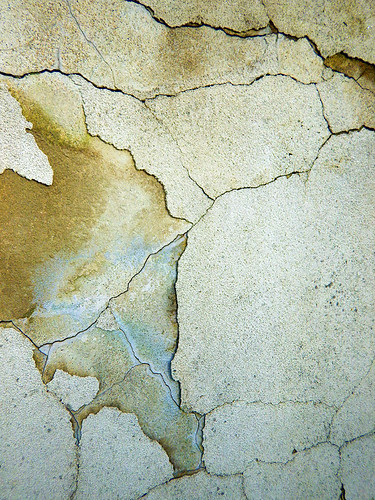 Crack in a Shaughnessy wall in Vancouver, Canada