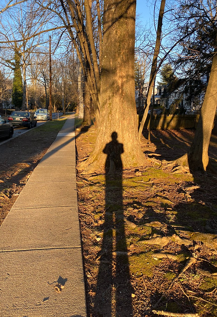 long shadow SP